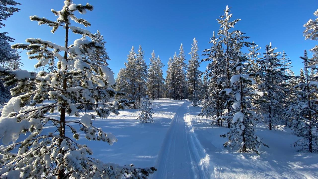 Lapiosalmi Wilderness Center Otel Posio Dış mekan fotoğraf