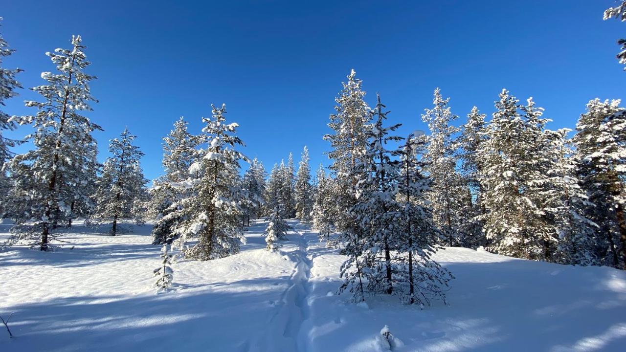 Lapiosalmi Wilderness Center Otel Posio Dış mekan fotoğraf